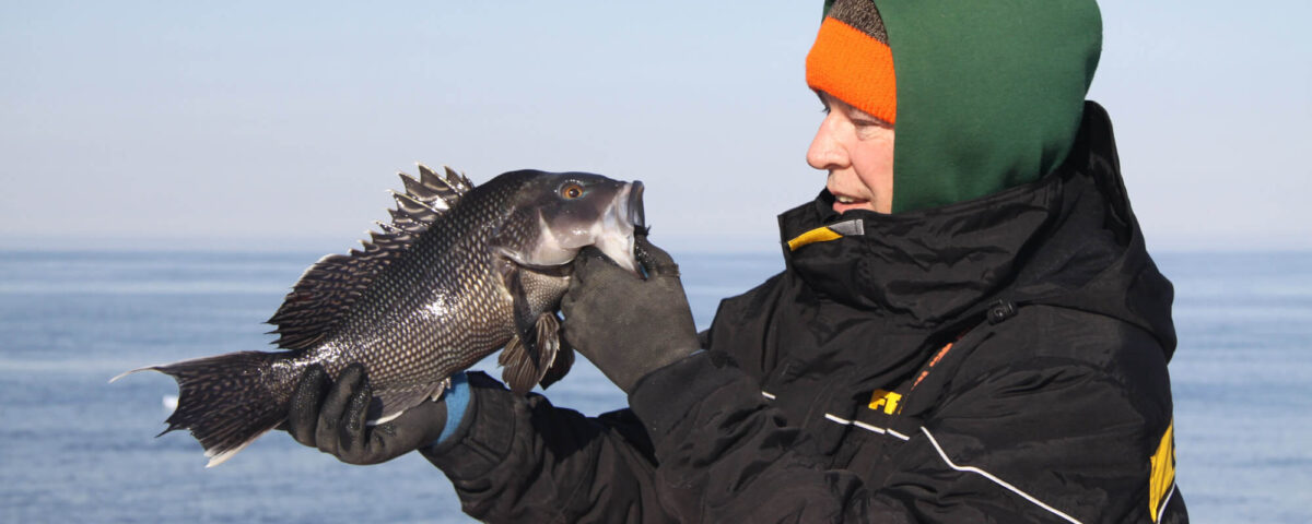 hyannis-fishing-tr-sea-bass-tom-schlichter