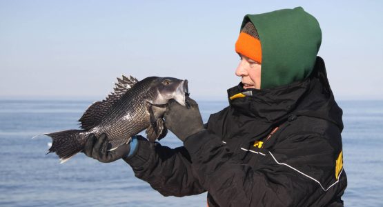 hyannis-fishing-tr-sea-bass-tom-schlichter