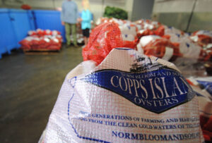 norwalk-tr-copps-island-oysters