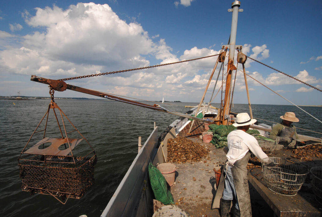 norwalk-tr-oystermen
