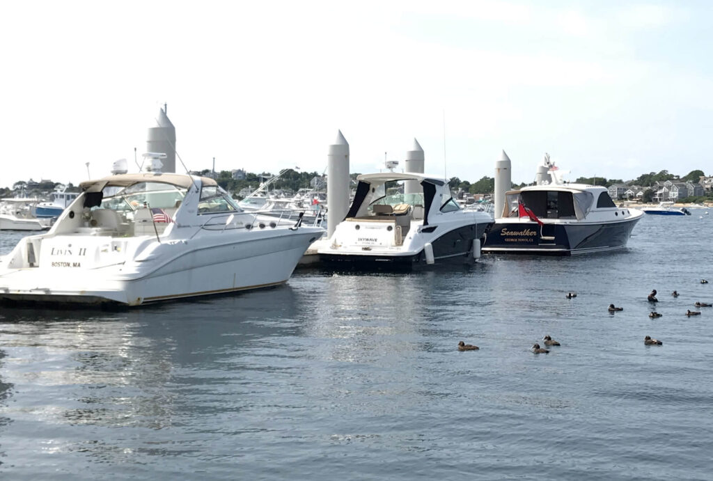 provincetown-eba-3-boats-birds
