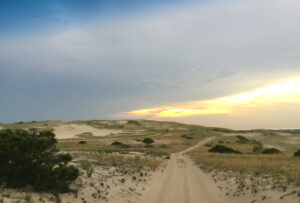 provincetown-neb-dunes
