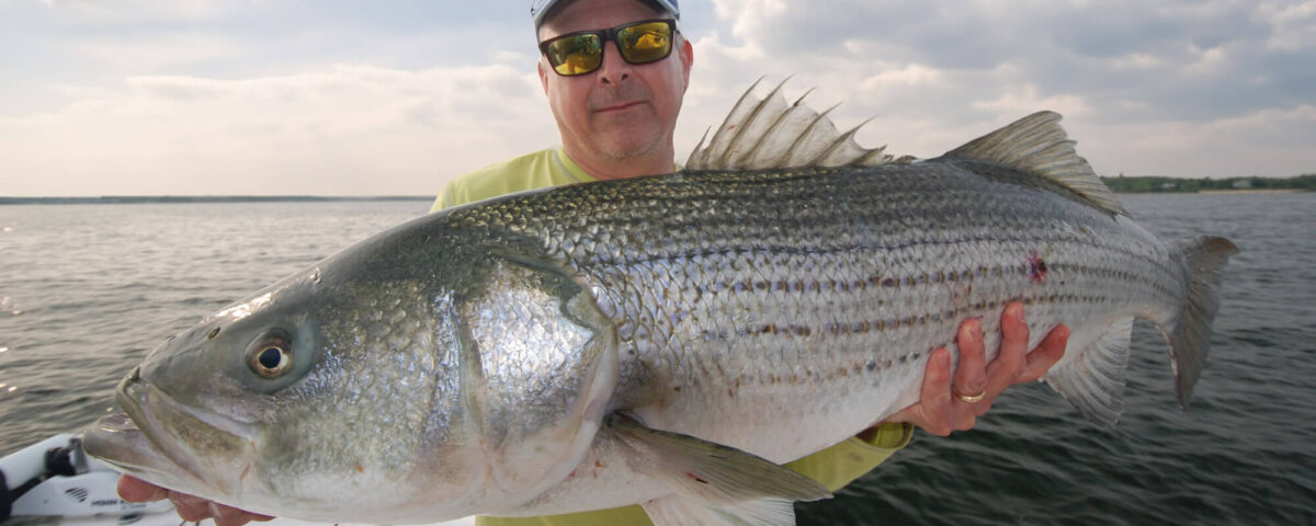 striped-bass-photo-tom-richardson