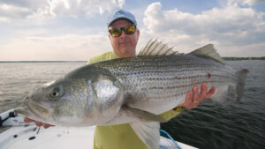 striped-bass-photo-tom-richardson