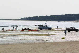 wellfleet-tc-clamming
