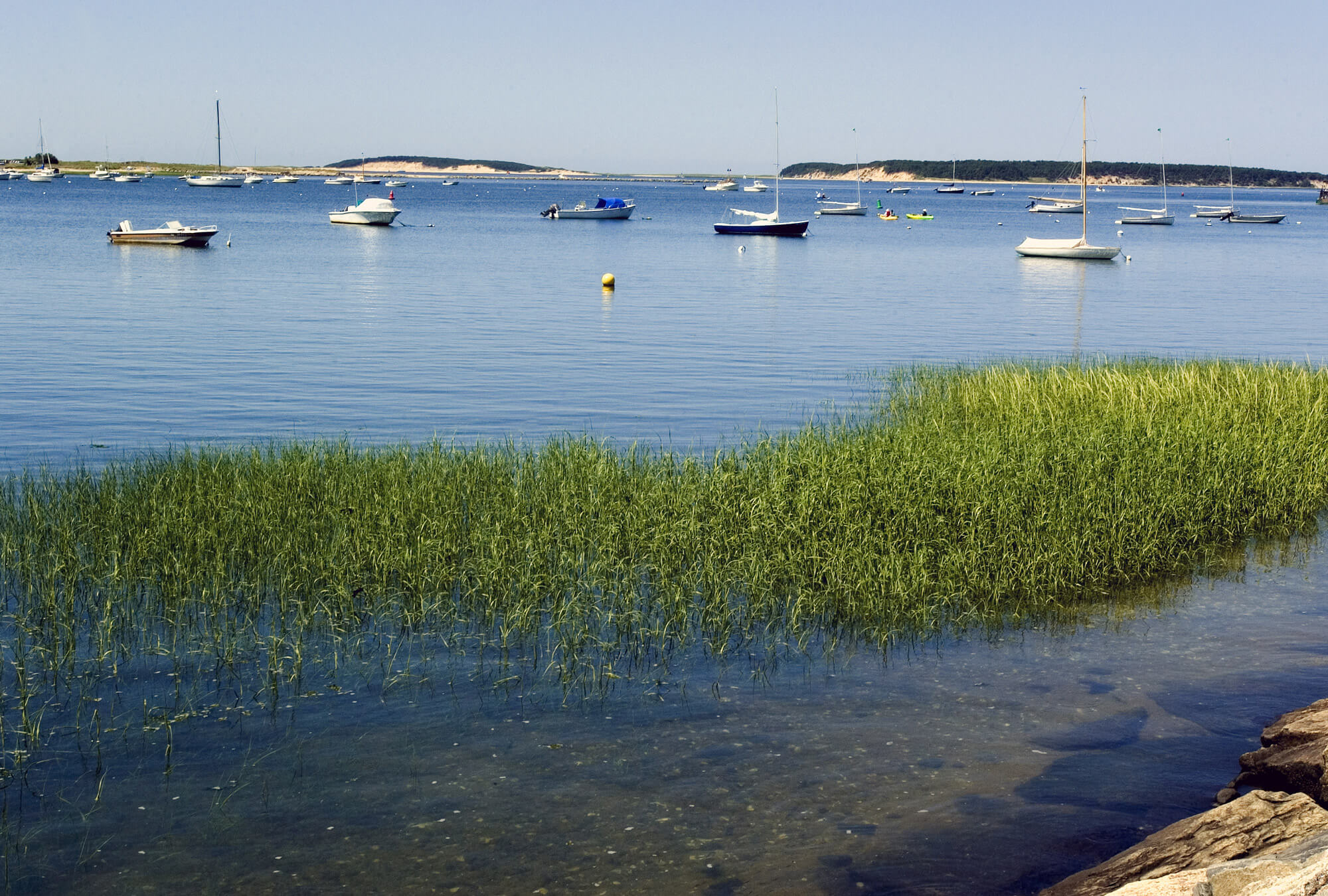 wellfleet-tc-harbor
