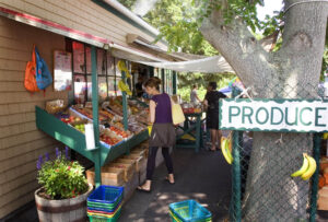 wellfleet-tc-hatchs-produce