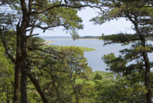 wellfleet-tc-ocean-vista