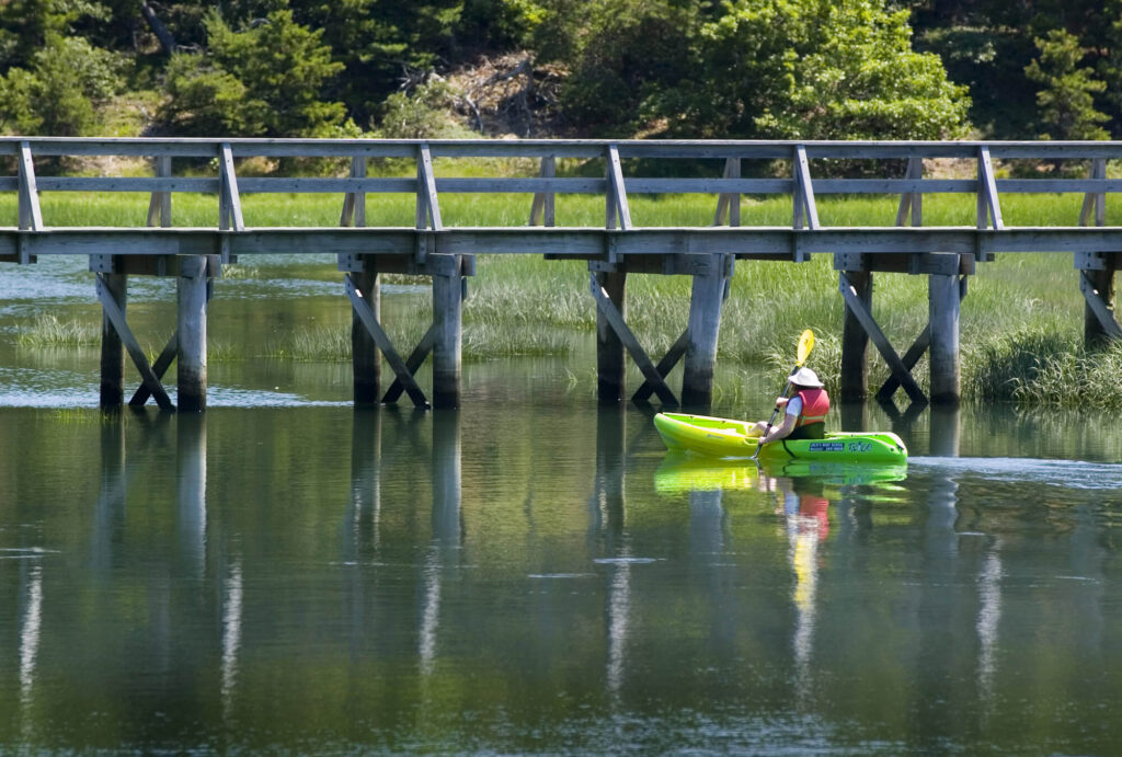 wellfleet-tc-paddler
