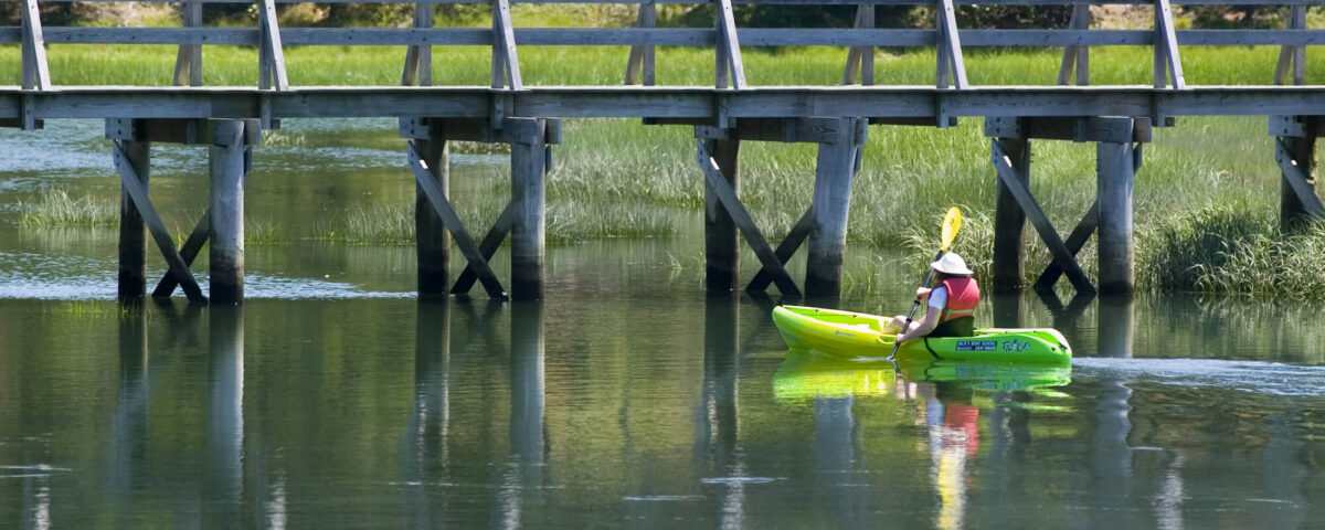 wellfleet-tc-paddler