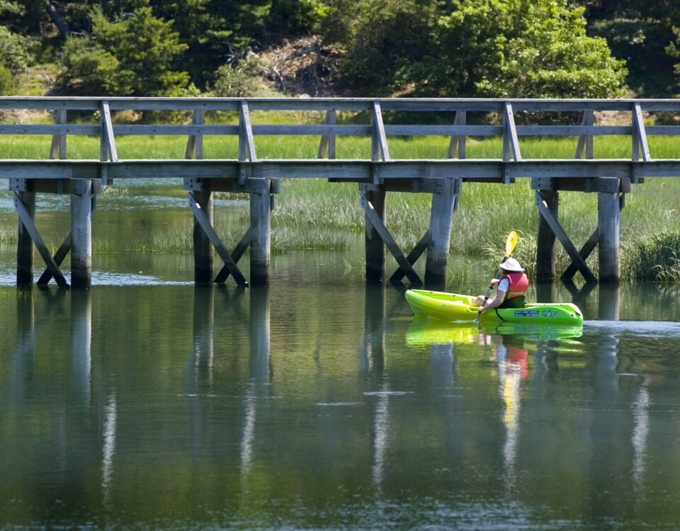 wellfleet-tc-paddler
