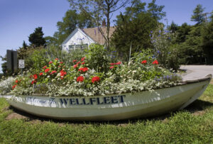 wellfleet-tc-welcome