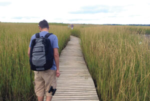 wellfleet-tc-wildlife-sanctuary-boardwalk