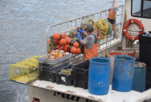 A lobsterman readying his boat on the way out of the harbor. york-jd-lobster-boat-prep