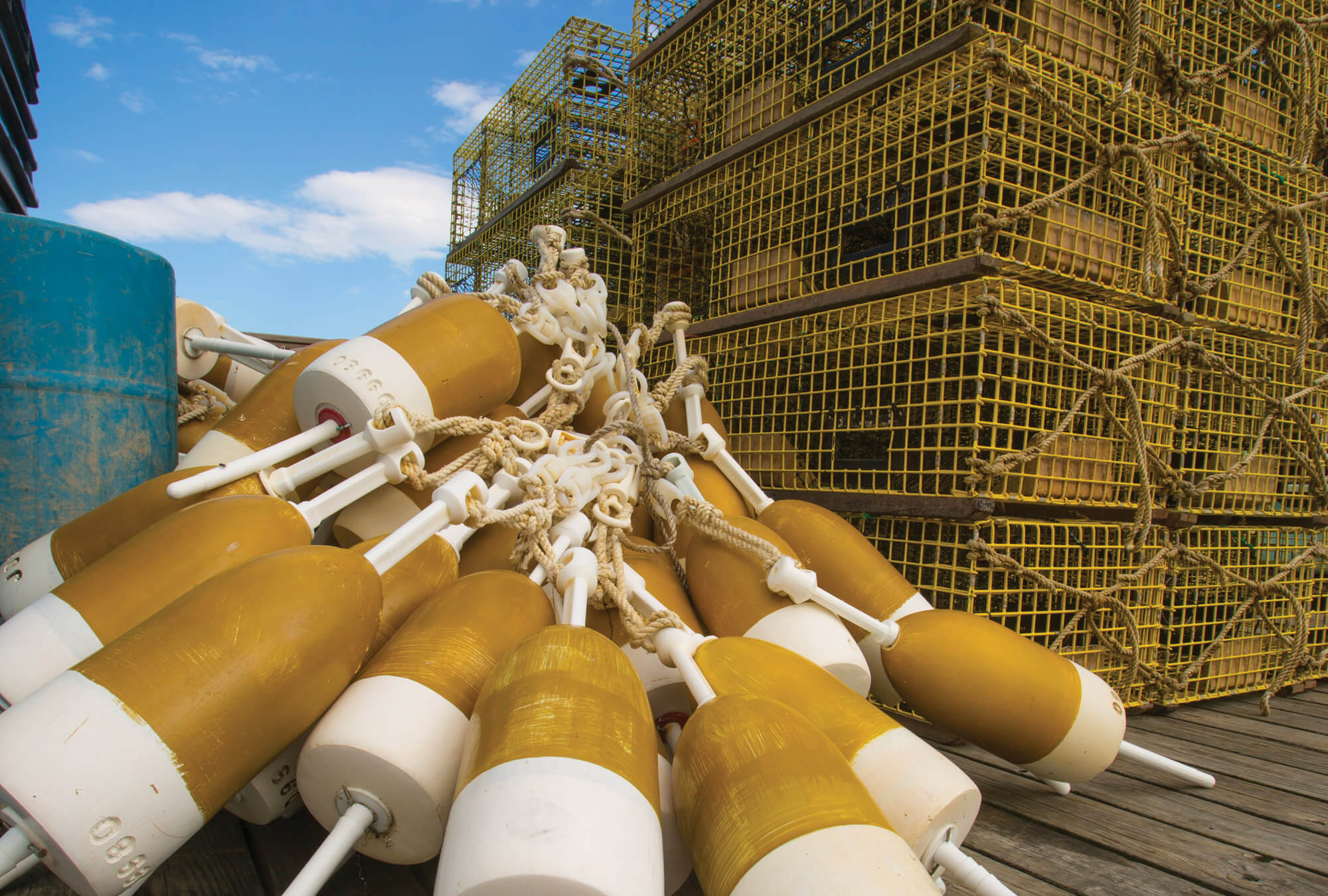 york-jd-lobster-pots-buoy