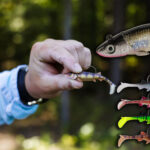berkley-minnowtator-multiple-models