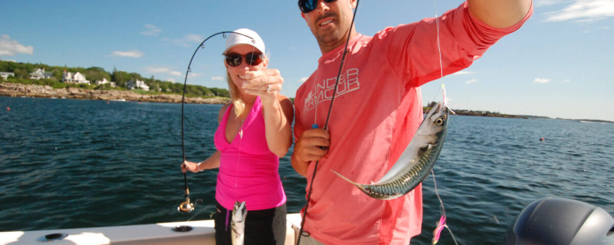 camden-tr-fishing-mackerel