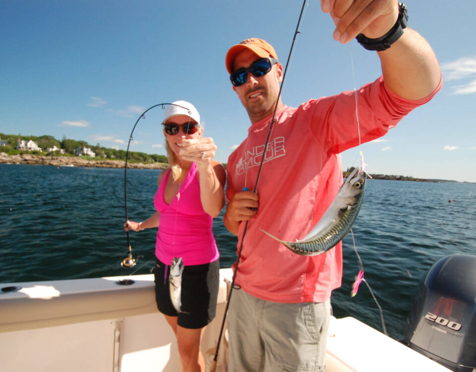 camden-tr-fishing-mackerel