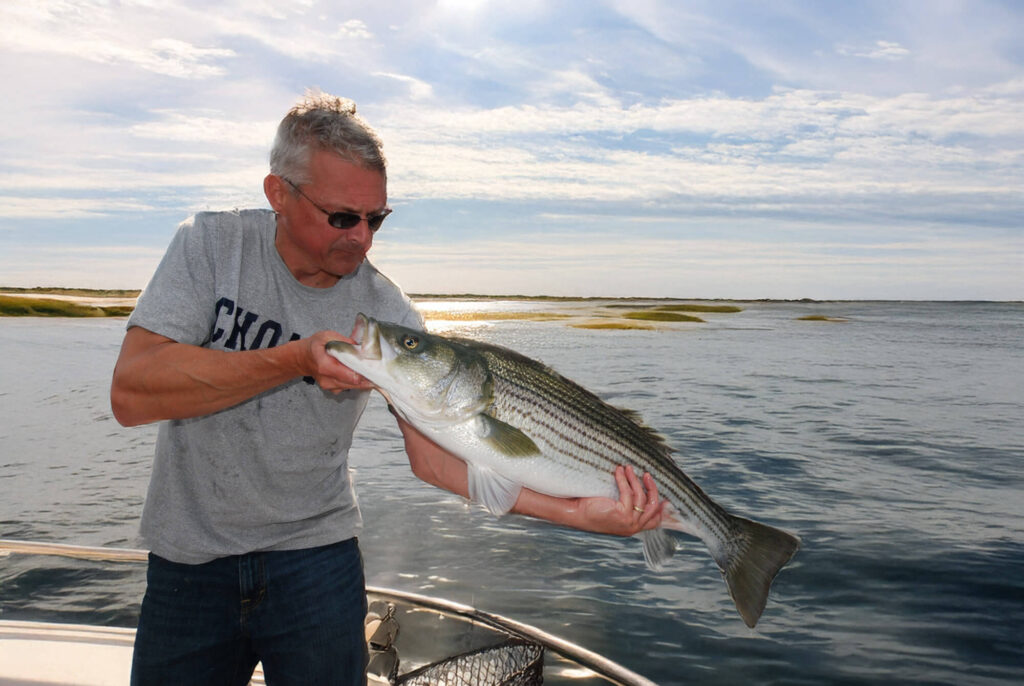 Striped Bass Management Board to Offer Informational Webinar