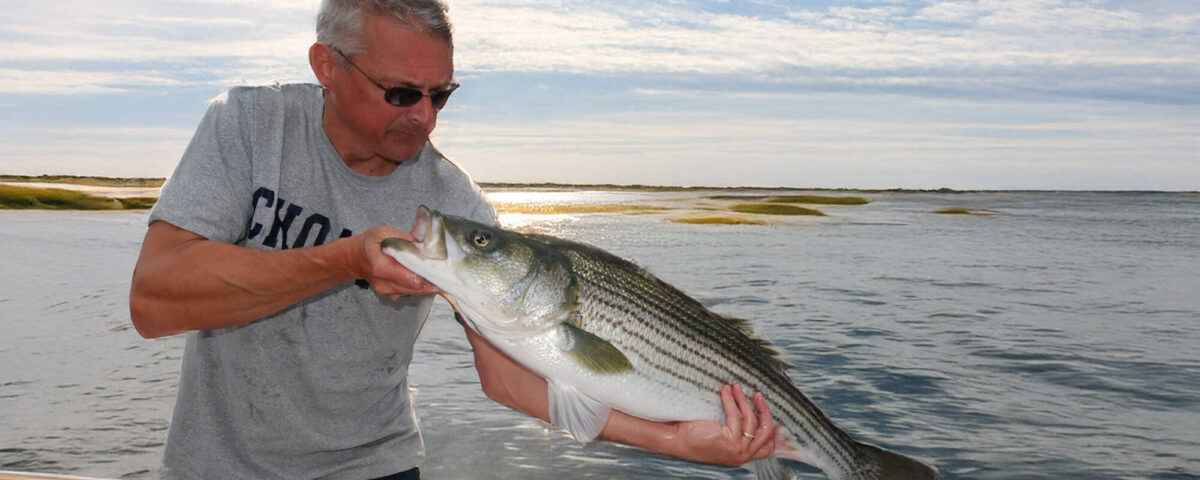 striped-bass-photo-tom-richardson