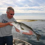 striped-bass-photo-tom-richardson
