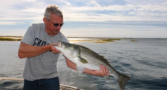 striped-bass-photo-tom-richardson