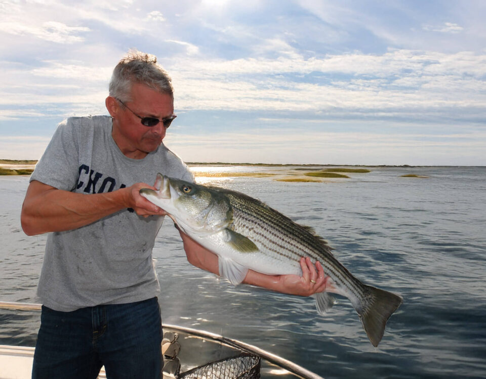 striped-bass-photo-tom-richardson