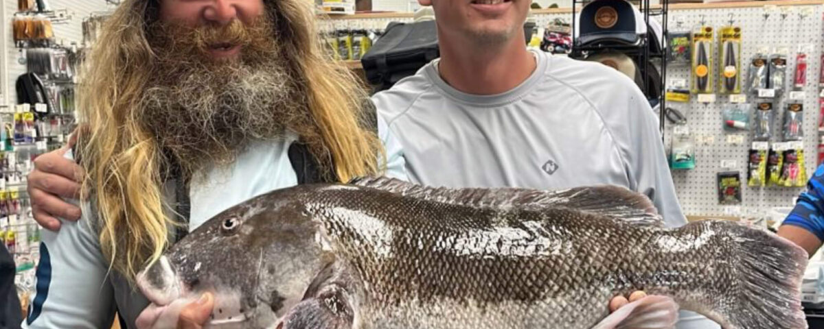 tautog-record-rob-taylor-vinny-simms