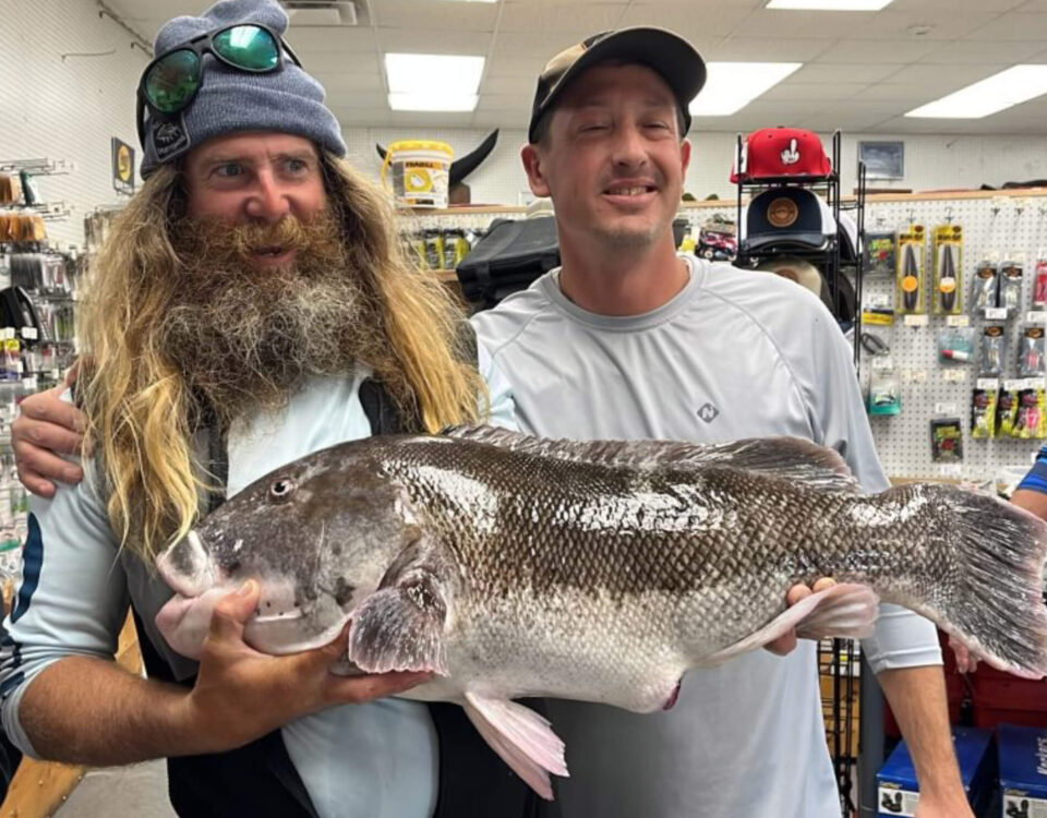 tautog-record-rob-taylor-vinny-simms