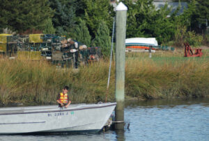 wickford-tr-boy-fishing
