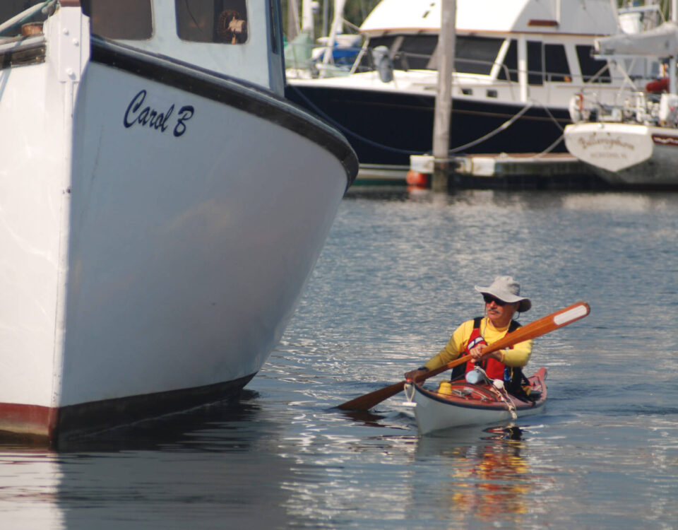 wickford-tr-paddler
