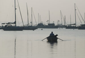 wickford-tr-man-dog-rowboat