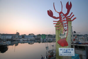 wickford-tr-matrix-lobster