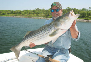 wickford-tr-striped-bass