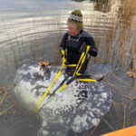 sunfish-rescue-onset-photo-necwa