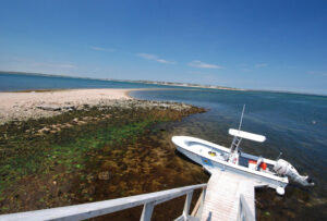 marion-tr-bird-island-low-tide-2000x1350