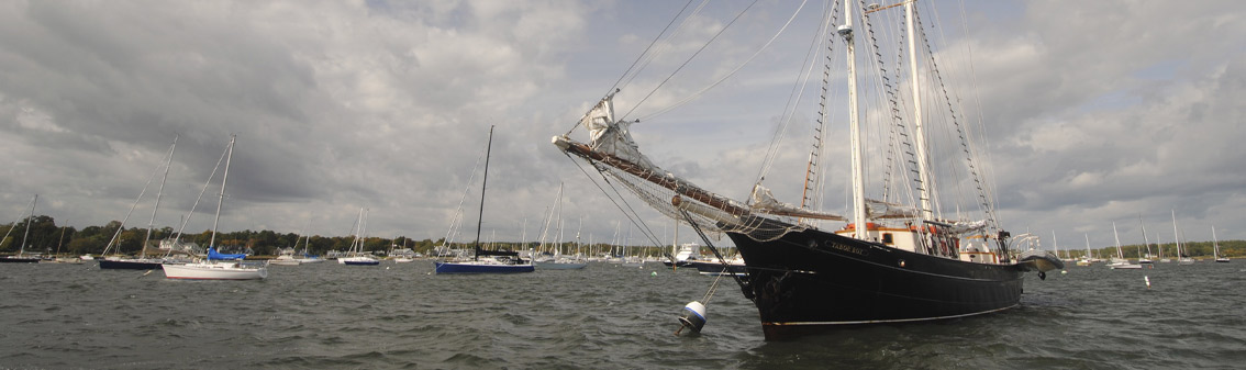 marion-tr-homepage-story-block-1134x336