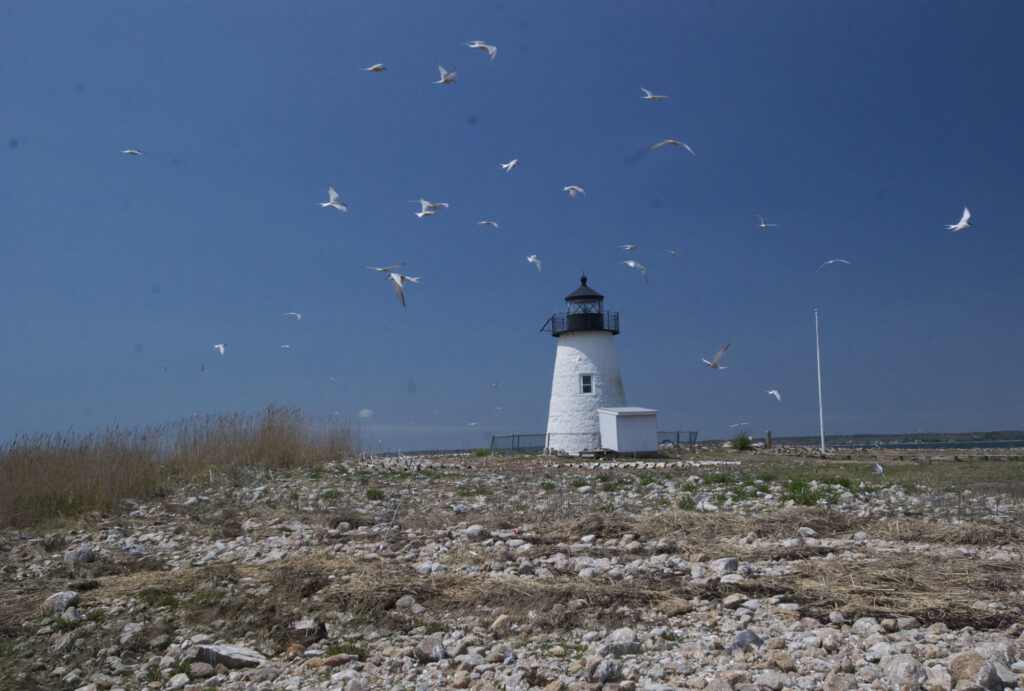 marion-tr-lighthouse-2000x1350