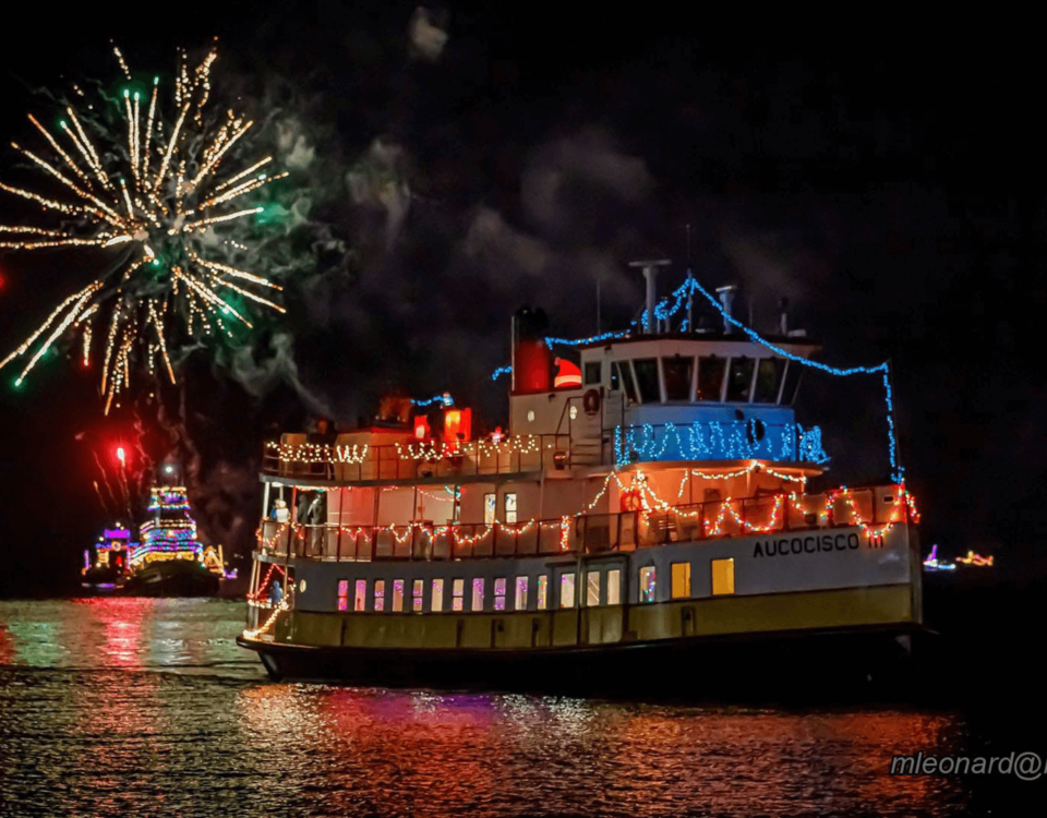 portland-boat-parade-aucocisco-mikeleonard