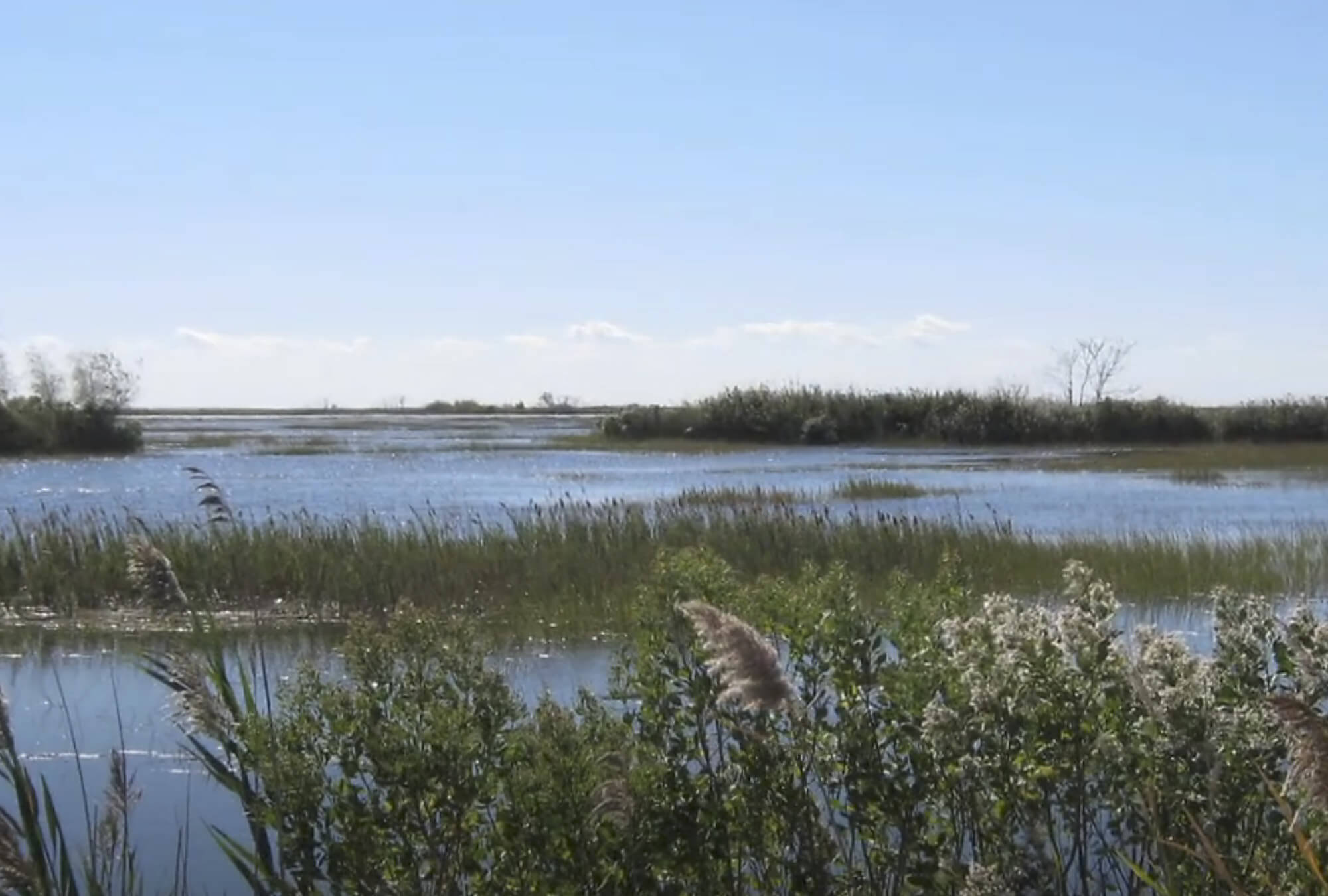 westbrook-neb-mckinney-wildlife-refuge