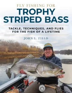 fly-fishing-for-trophy-striped-bass