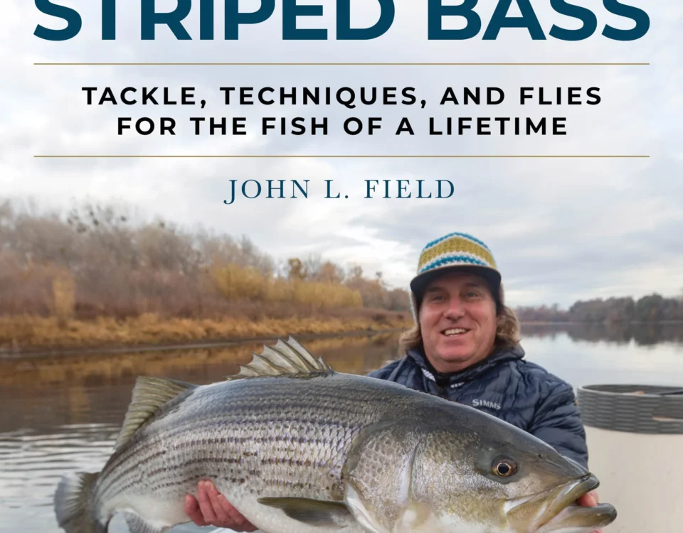 fly-fishing-for-trophy-striped-bass