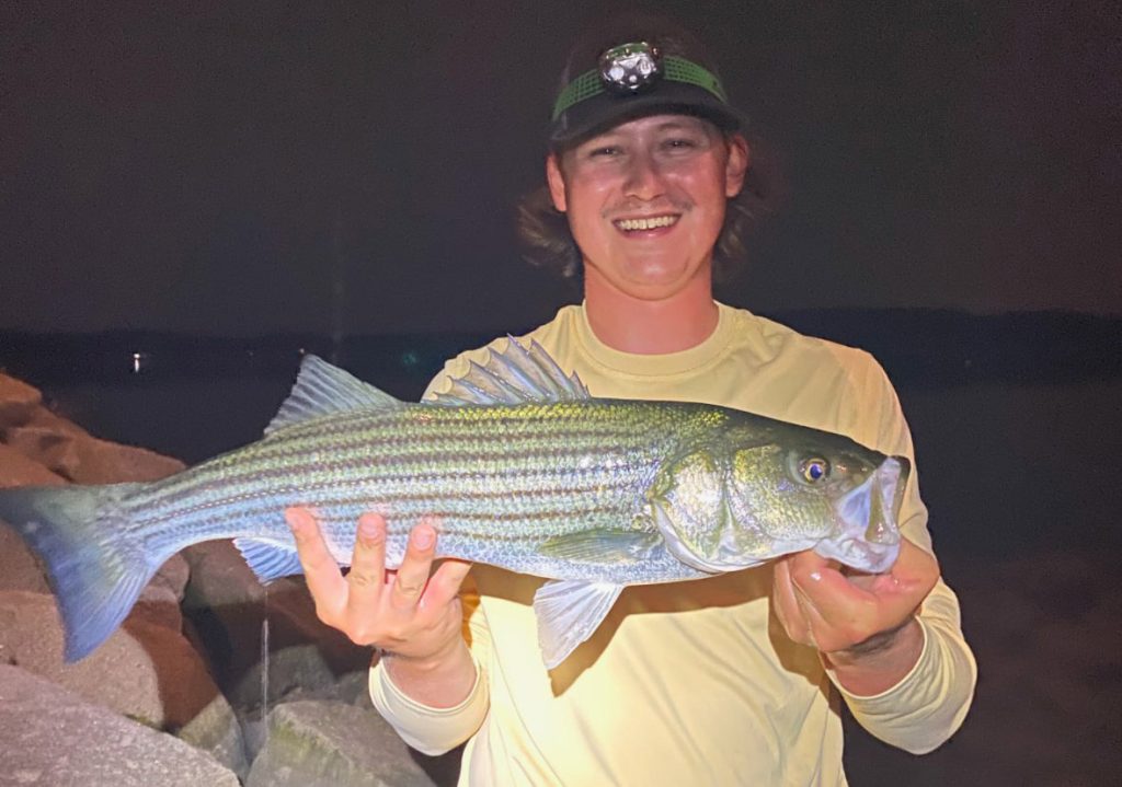 Anglers Asked to Help Monitor Striped Bass Fishery