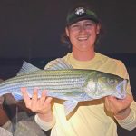 nh-fish-game-striped-bass