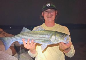 nh-fish-game-striped-bass