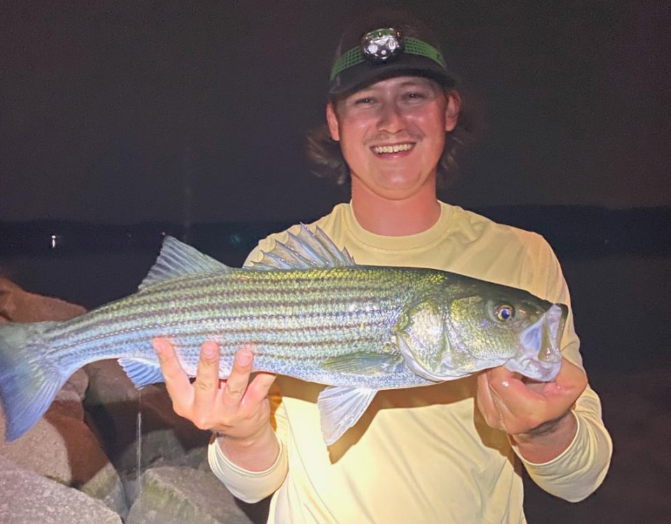 nh-fish-game-striped-bass