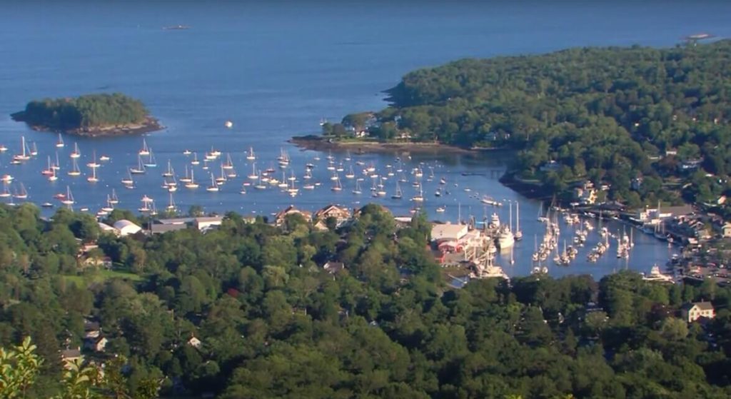 a body of water with boats and trees