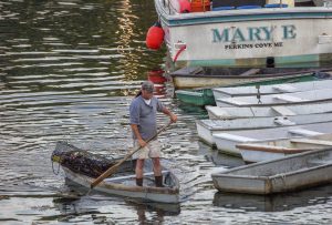 ogunquit-jd-lobster-man