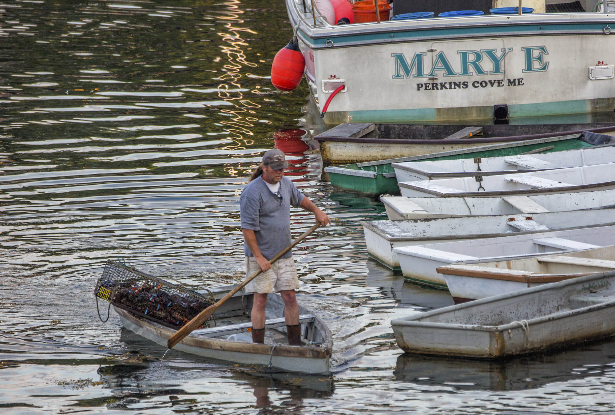 ogunquit-jd-lobster-man