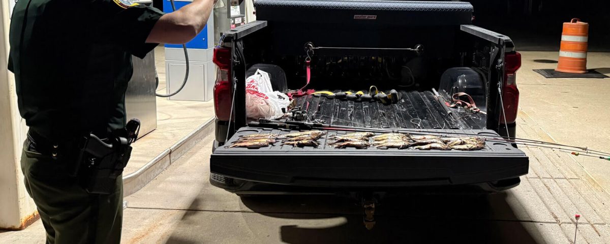 fish-poacher-nabbed-nh-fish-and-game-photo